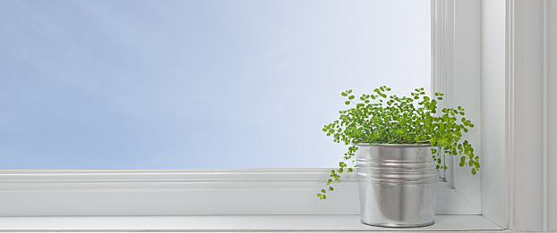 Featured Image for 3 Tips on Leadership and Change Management from "The Year Without Pants"