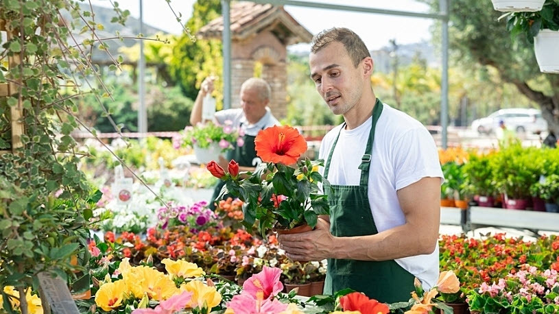 Employees of the garden center work overtime during busy summer Overtime Compliance: Key Considerations for Employers
