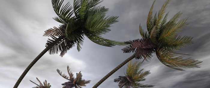 disaster tax relief enacted act includes employer retention disaster tax relief enacted act includes employer retention