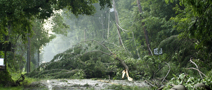Handling Business Closures During Severe Weather Handling Business Closures During Severe Weather