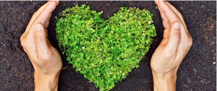 Workplace Sustainability Can Lead To Engaged Employees | SPARK Blog | ADP