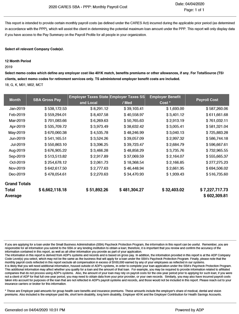 ADP Payroll Summary Example All Employees